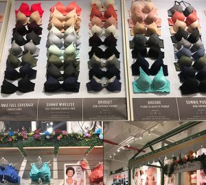 O museu da Victoria's Secret em NY - e a nova loja da marca – Blog da Laura  Peruchi – Tudo sobre Nova York